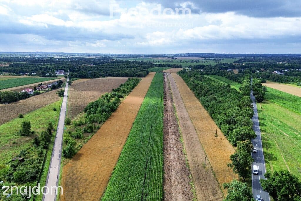 Działka 1,358 ha z opcją podziału | Radostków - zdjęcie 4