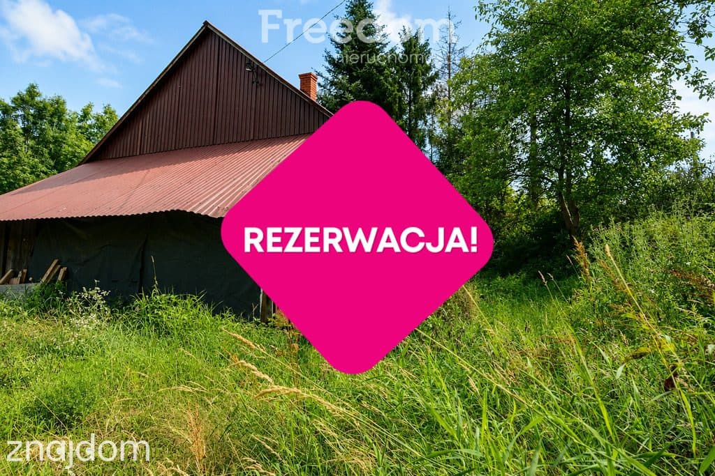 Rezerwacja - zdjęcie 10