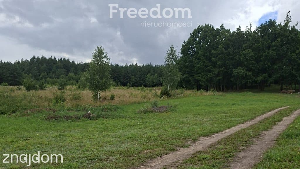 Działka przy jeziorze w miejscowości Lutek - zdjęcie 10