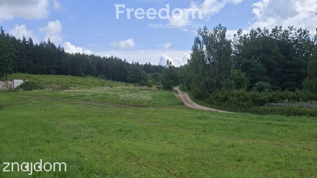 Działka blisko jeziora w miejscowości Lutek - zdjęcie 9