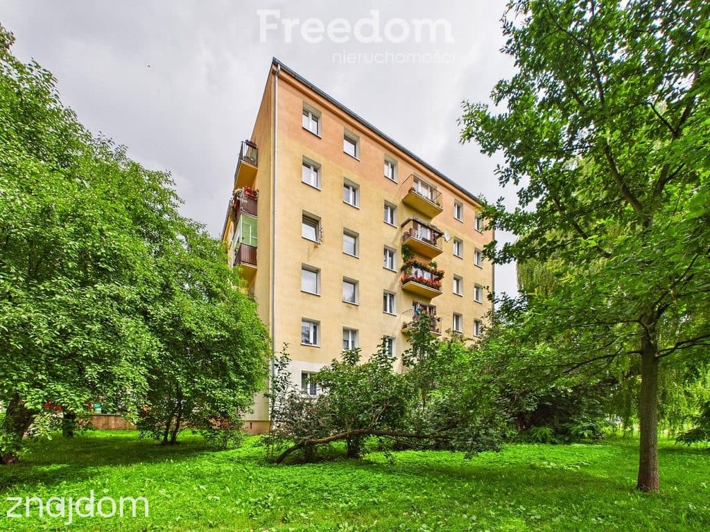 Ciche mieszkanie - po remoncie, blisko centrum. - zdjęcie 13