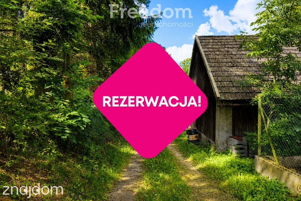 Rezerwacja - zdjęcie 4