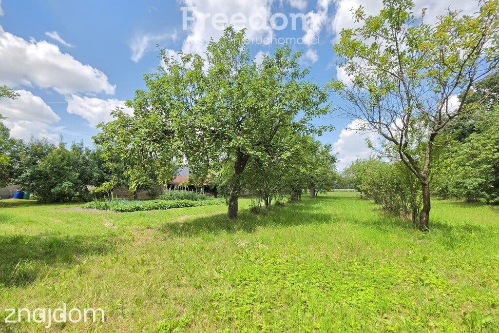 Klimatyczne siedlisko 6373 m² | 15 min od Białej - zdjęcie 9