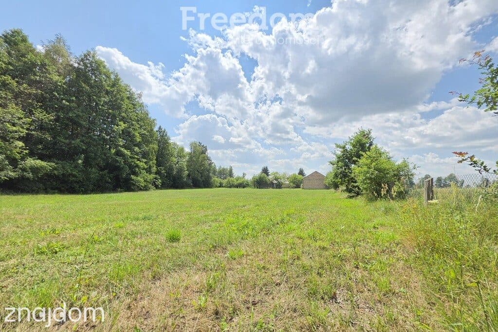 Klimatyczne siedlisko 6373 m² | 15 min od Białej - zdjęcie 11