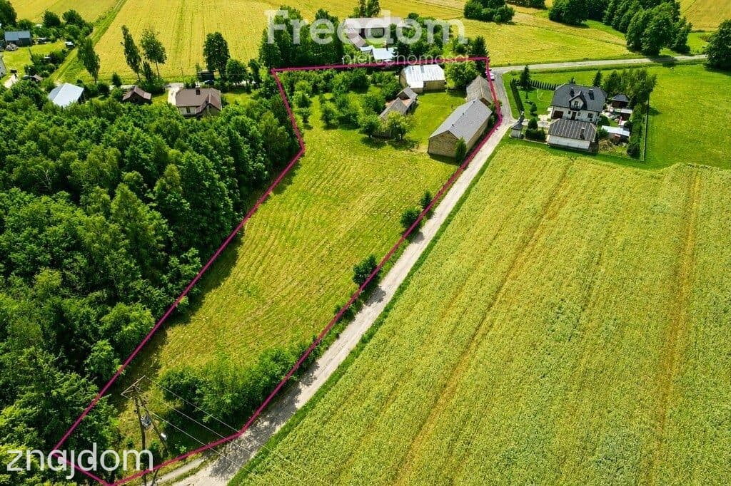 Klimatyczne siedlisko 6373 m² | 15 min od Białej - zdjęcie 5