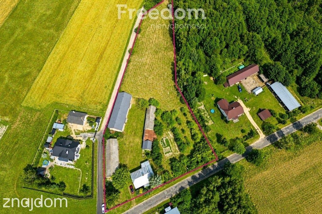 Klimatyczne siedlisko 6373 m² | 15 min od Białej - zdjęcie 4