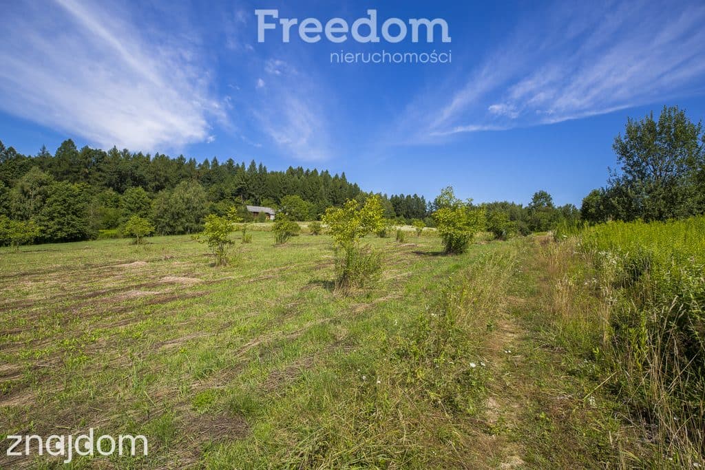 Działka z WZ 33,31 ar – Hadle Kańczuckie - zdjęcie 9