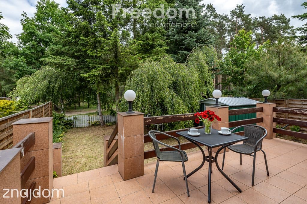 Depot gm. Zbąszynek - Szeregowiec posród lasów. - zdjęcie 19