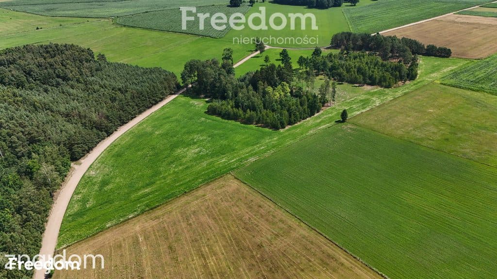 Duża działka z potencjałem i warunkami zabudowy - zdjęcie 3