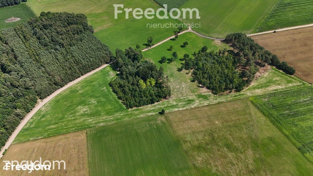Duża działka z potencjałem i warunkami zabudowy - zdjęcie 5