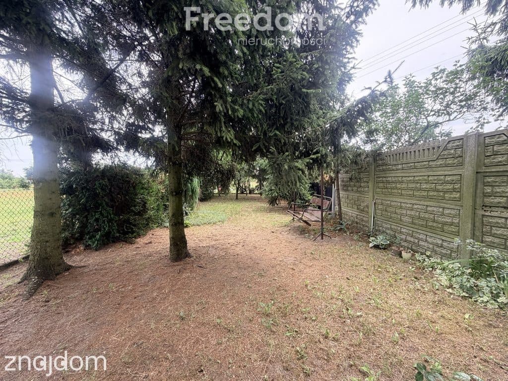 Dom z działką 4690 m² – Budki Stare - zdjęcie 5