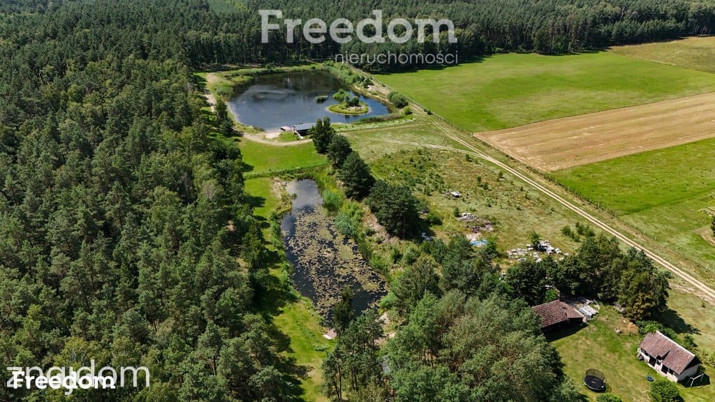 Działka z dużym stawem na Mazurach - zdjęcie 7