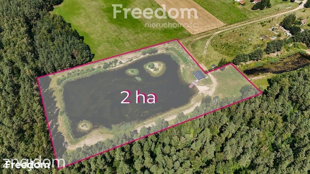 Działka z dużym stawem na Mazurach