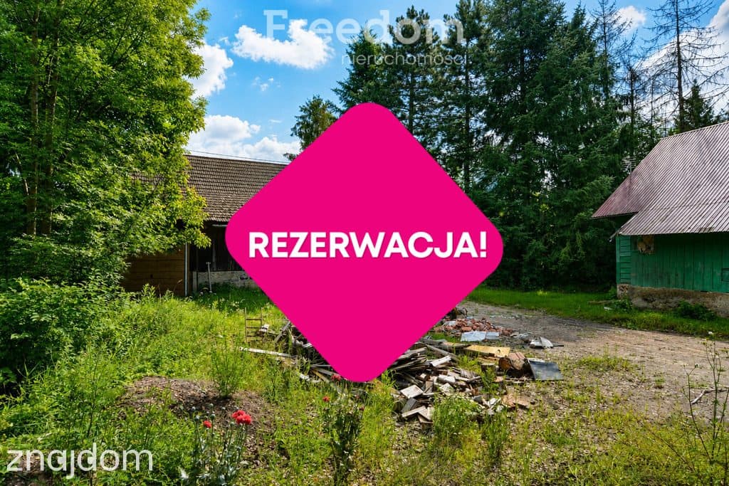 Rezerwacja - zdjęcie 13