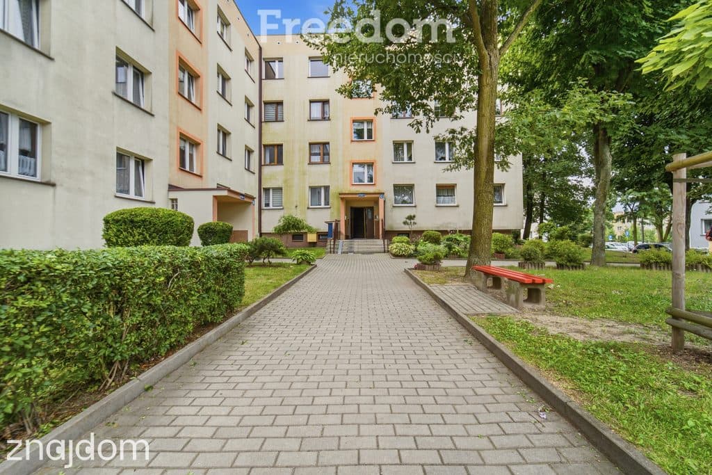 3 pokojowe do własnej aranżacji, negocjacja ceny ! - zdjęcie 18