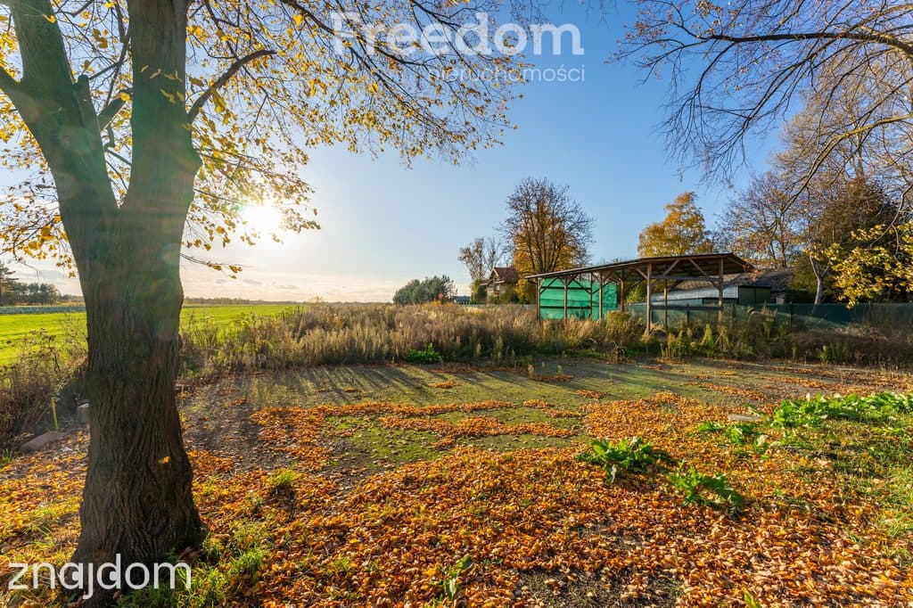 Działka pod kameralną inwestycję – 2168 m² - zdjęcie 2