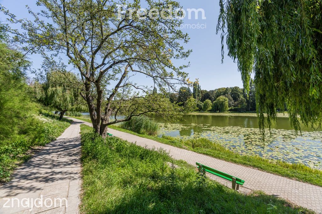 Kawalerka, Park Skaryszewski,Rondo Wiatracza. SWPS - zdjęcie 5