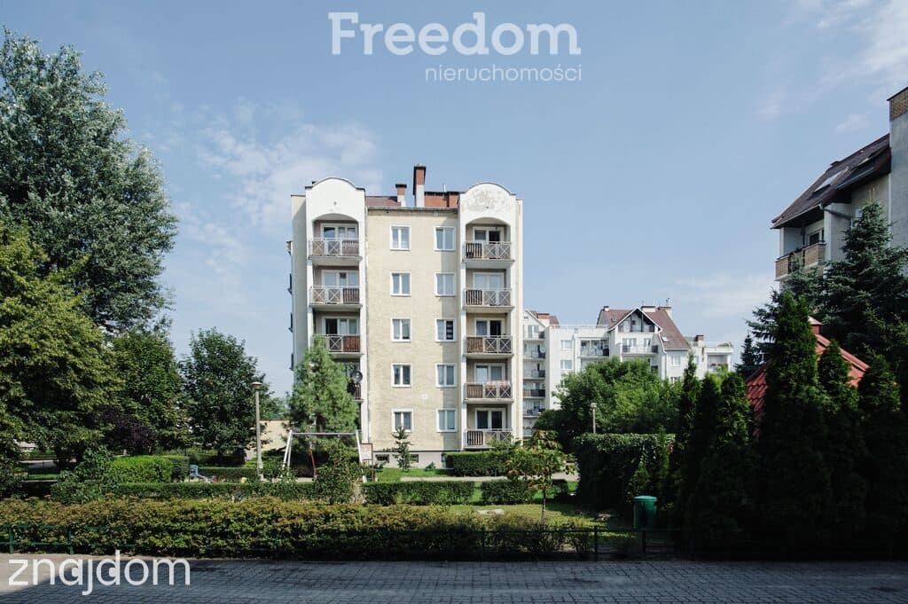 Dzień pokazowy 27.08.2026 (Czwartek) - zdjęcie 17