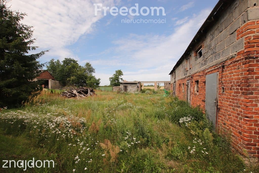 Dom z gruntem 1,08 ha blisko Koła – Boguszyniec - zdjęcie 2