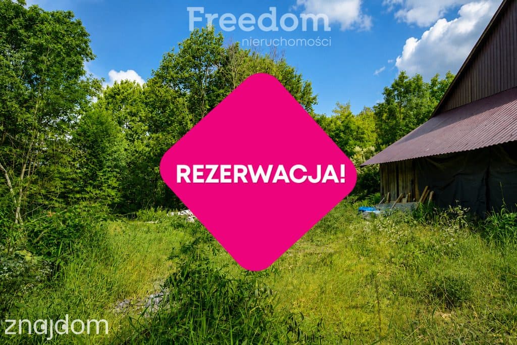 Rezerwacja - zdjęcie 7