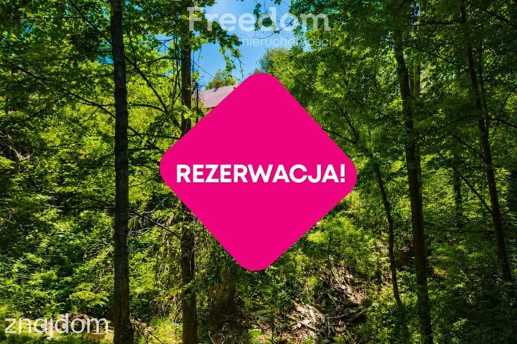 Rezerwacja - zdjęcie 16