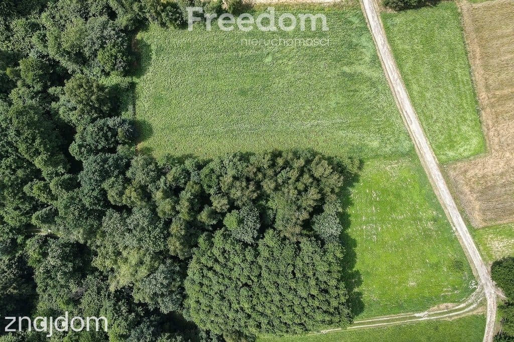 Działka w Kraczkowej, pod lasem, posiadająca WZ - zdjęcie 5