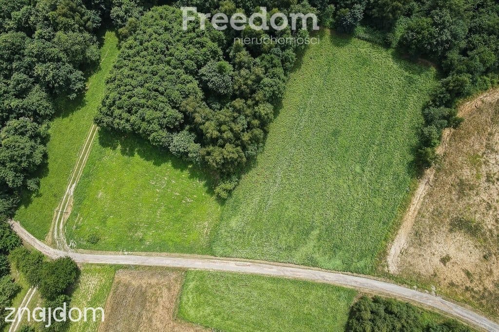 Działka w Kraczkowej, pod lasem, posiadająca WZ