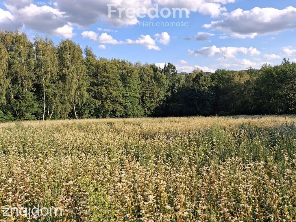 Działka w Kraczkowej, pod lasem, posiadająca WZ - zdjęcie 3
