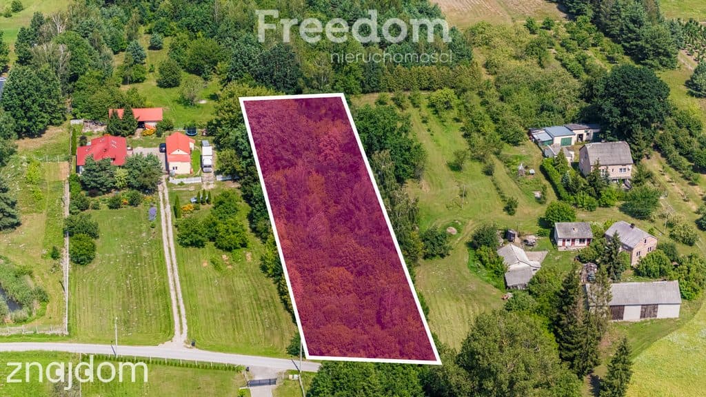 MPZP | ~4 500 m² PUM 2 km od Lesznowoli - zdjęcie 2