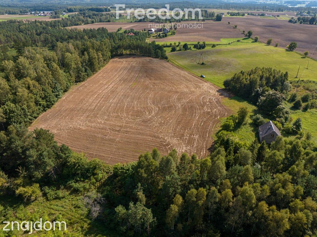 Działka siedliskowa z mpzp - dom, las, cisza - zdjęcie 3