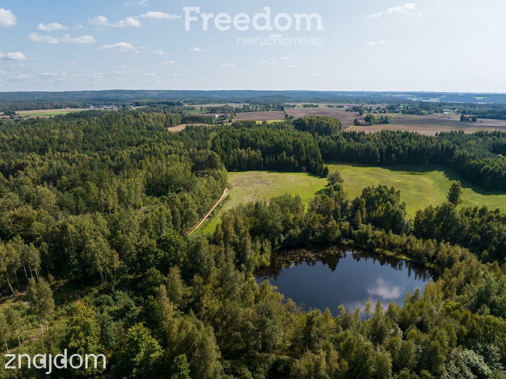Działka siedliskowa z mpzp - dom, las, cisza - zdjęcie 7