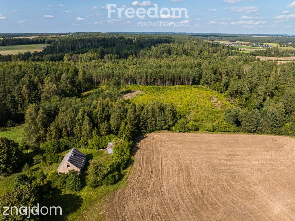 Działka siedliskowa z mpzp - dom, las, cisza - zdjęcie 9