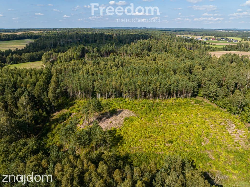 Działka siedliskowa z mpzp - dom, las, cisza - zdjęcie 10
