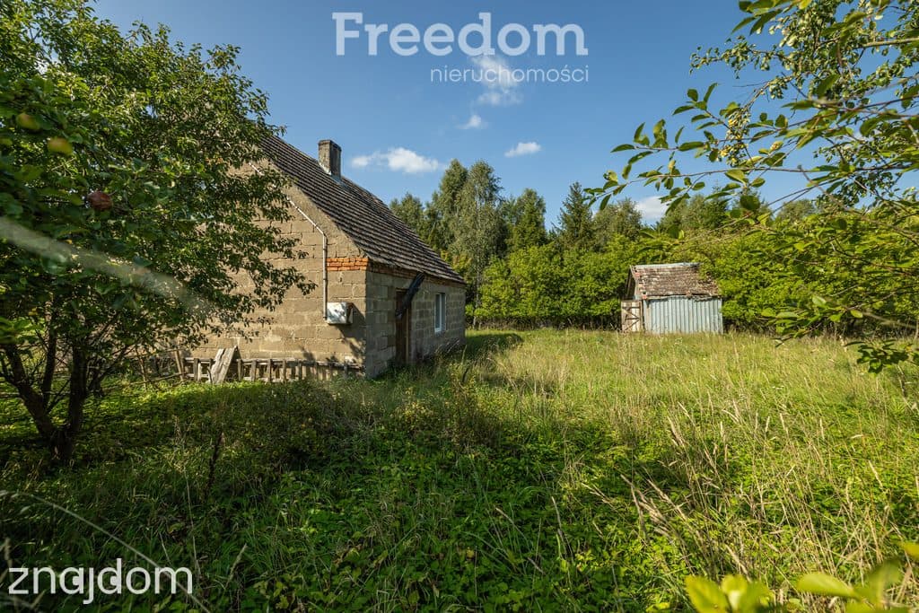 Działka siedliskowa z mpzp - dom, las, cisza - zdjęcie 15