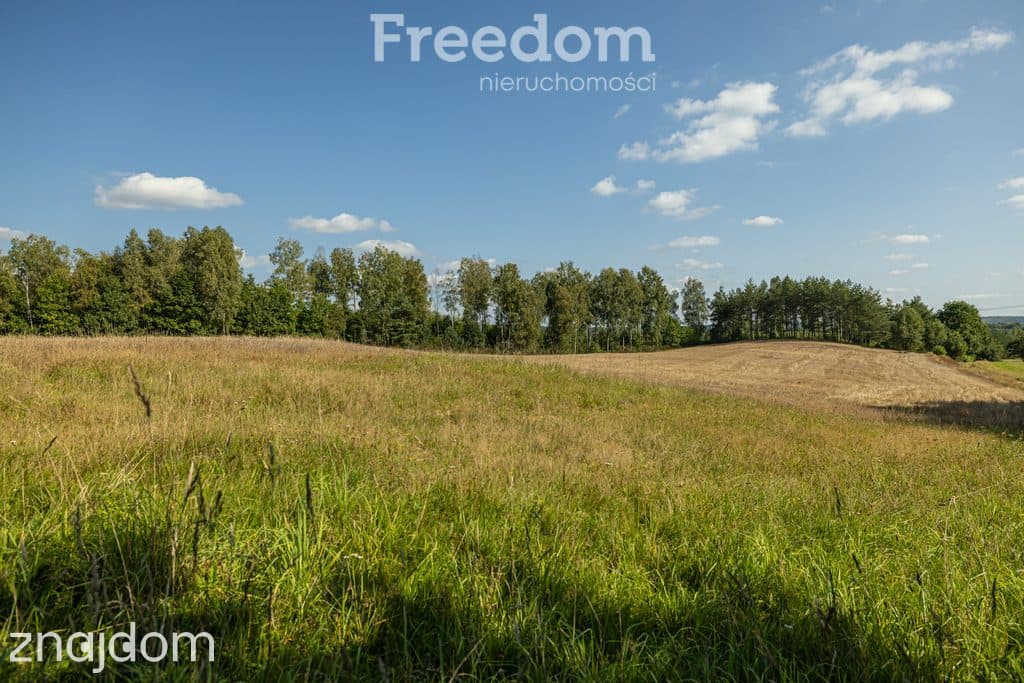 Działka siedliskowa z mpzp - dom, las, cisza - zdjęcie 16