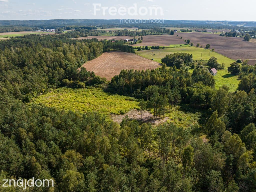 Działka siedliskowa z mpzp - dom, las, cisza - zdjęcie 18