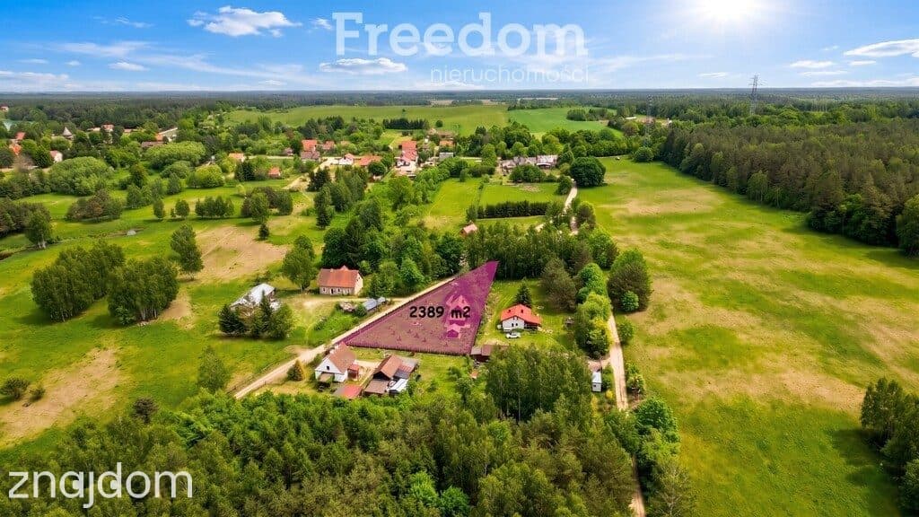 Twój prywatny dom na Warmii. 8 km od Olsztynka. - zdjęcie 4