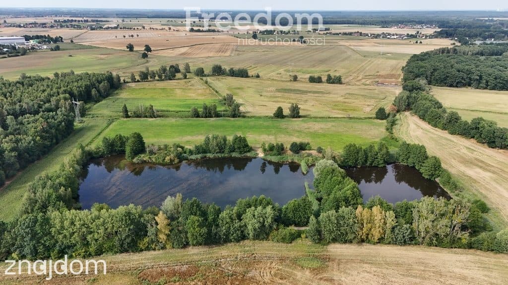 Działka 3,61 ha ze stawem i gruntem rolnym - zdjęcie 3