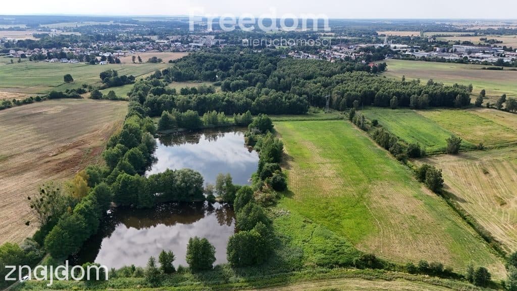 Działka 3,61 ha ze stawem i gruntem rolnym - zdjęcie 4