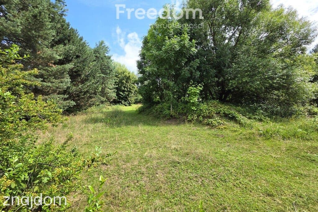 Działka budowlana 2004 m² | MPZP | Media | 1,5 km - zdjęcie 9