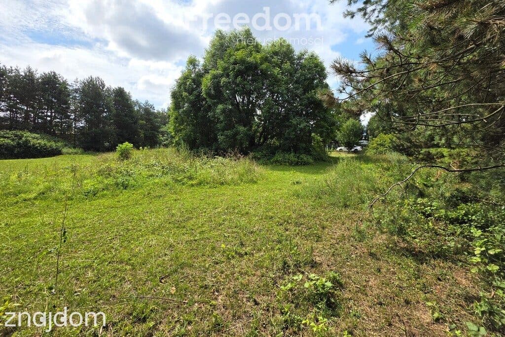 Działka budowlana 2004 m² | MPZP | Media | 1,5 km - zdjęcie 10