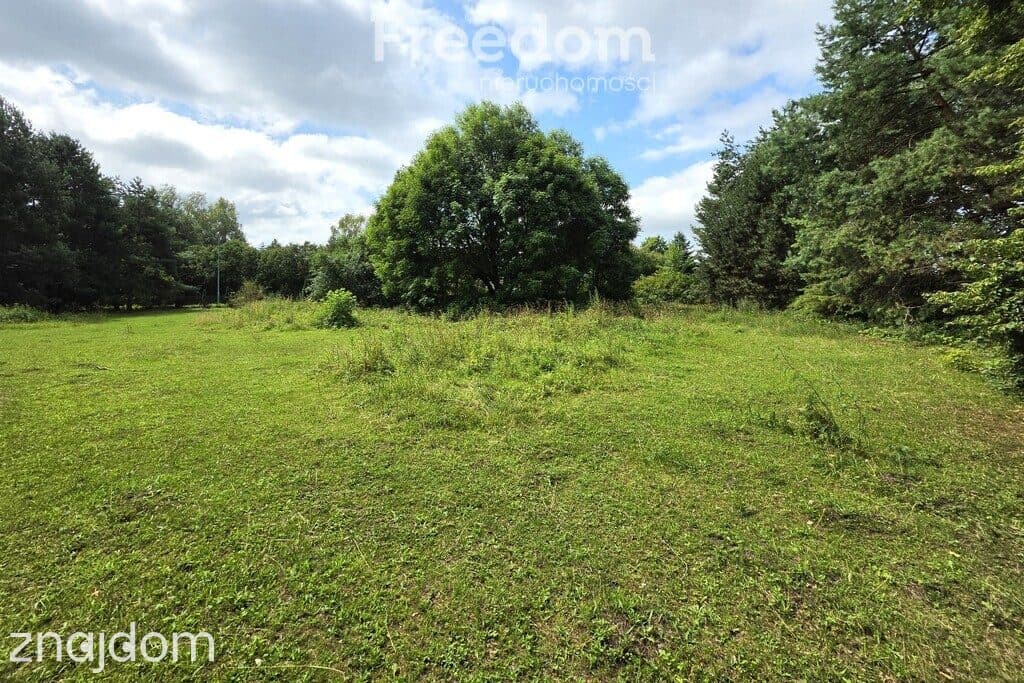 Działka budowlana 2004 m² | MPZP | Media | 1,5 km - zdjęcie 11