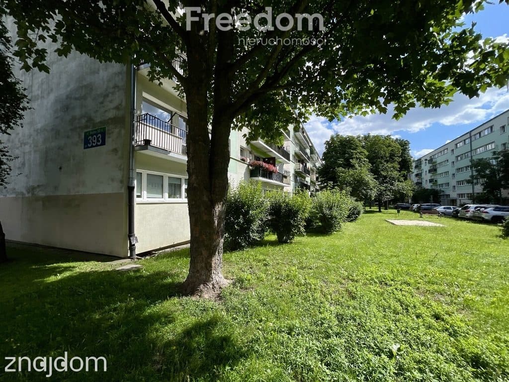 2 pokoje | 45 m² | balkon | rozkład | Teofilów - zdjęcie 13