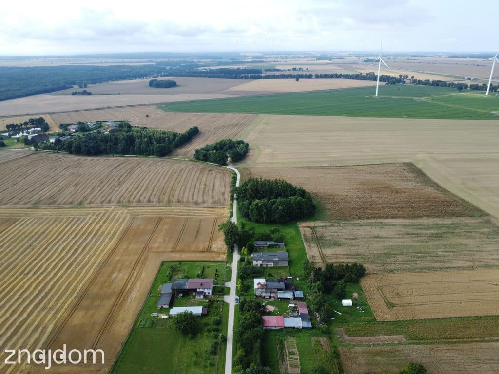 Budy, Daminica, dom 123m2, działka 832m2 - zdjęcie 5