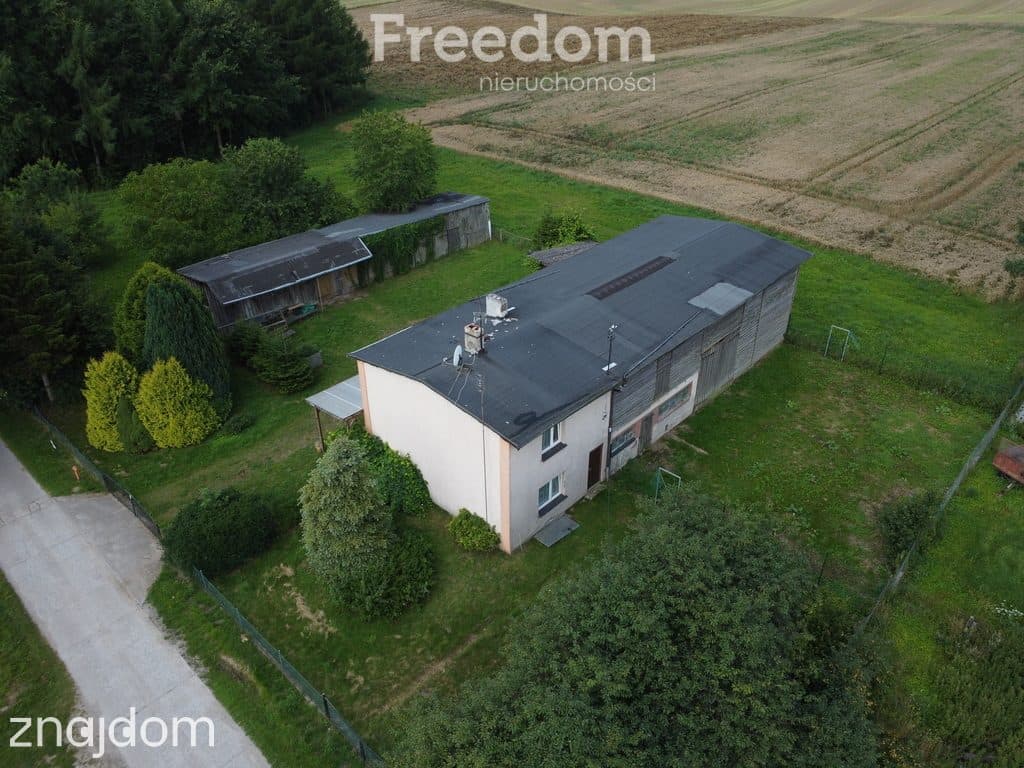 Budy, Daminica, dom 123m2, działka 832m2 - zdjęcie 2