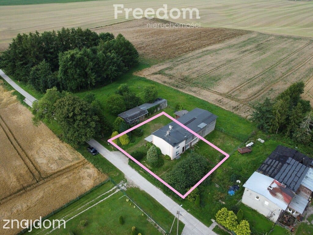 Budy, Daminica, dom 123m2, działka 832m2 - zdjęcie 3