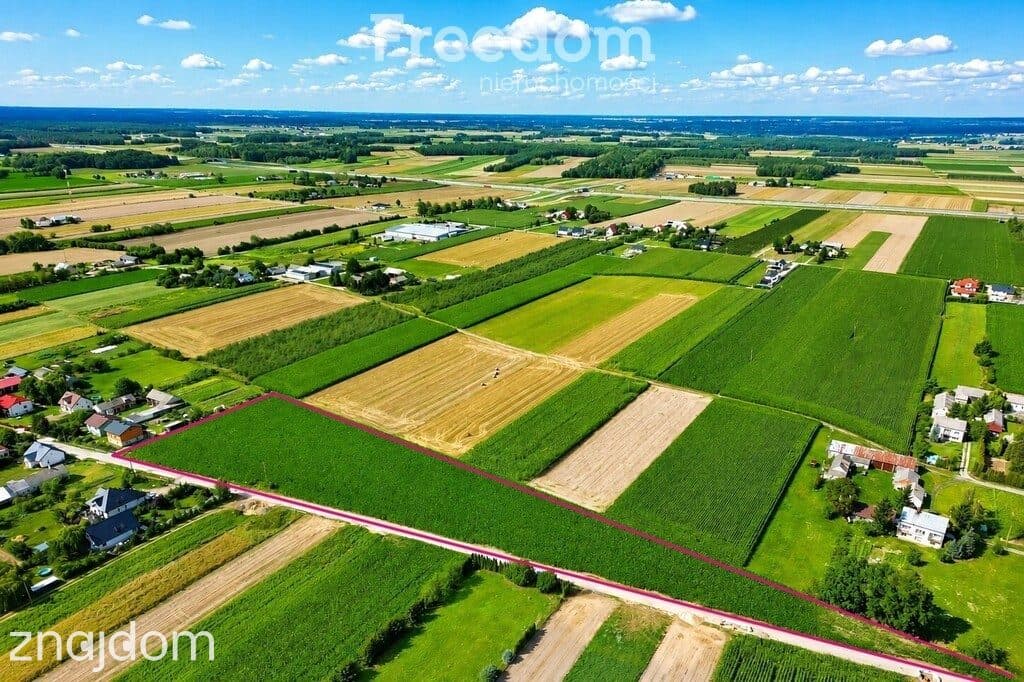 1,5 ha z MPZP pod zabudowę mieszkaniową - Broszków - zdjęcie 2