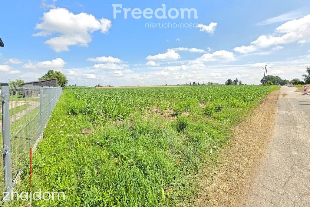 1,5 ha z MPZP pod zabudowę mieszkaniową - Broszków - zdjęcie 5