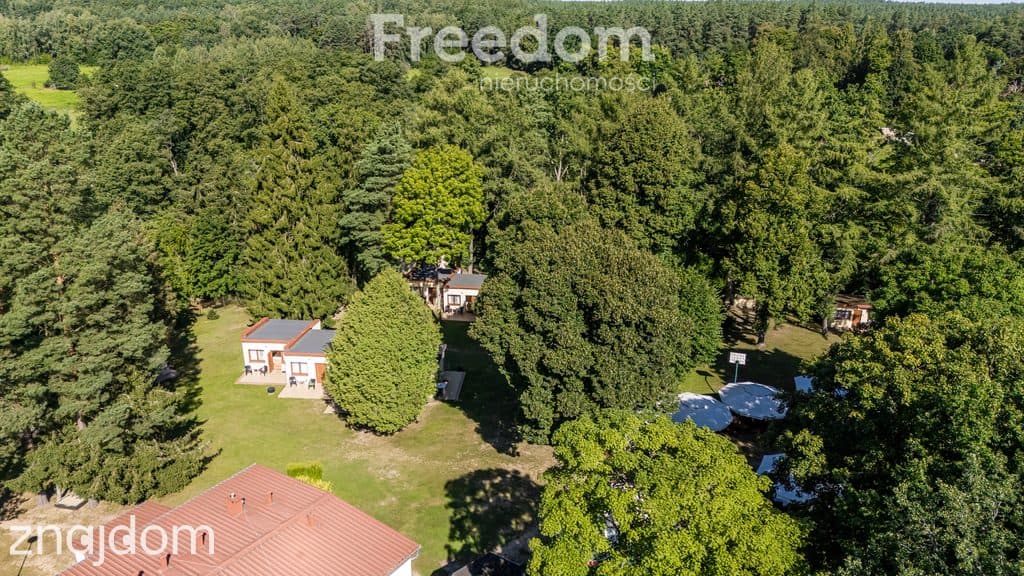 Działka i biznes z linią brzegową Mazury - zdjęcie 8