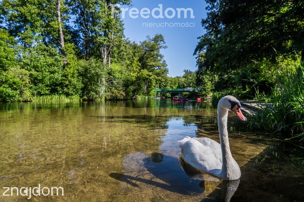 Działka i biznes z linią brzegową Mazury